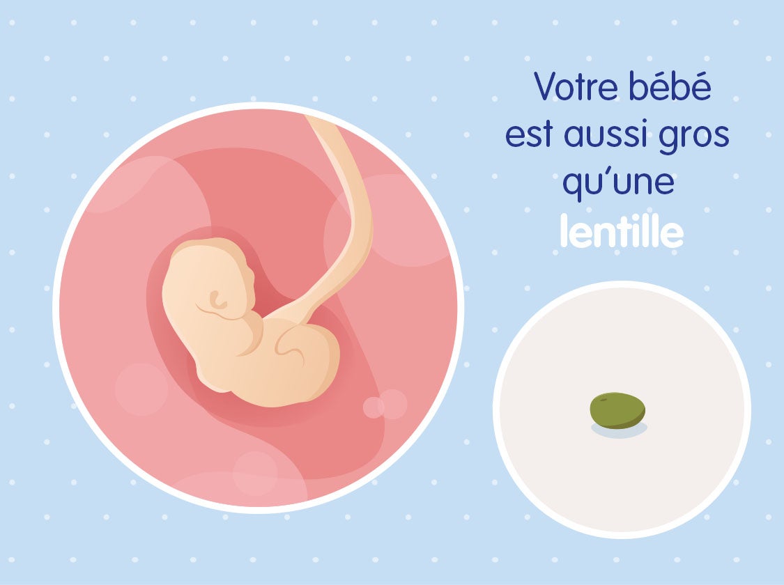 Quatrième semaine de grossesse développement de bébé et alimentation